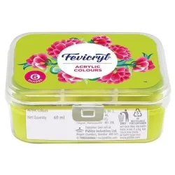 6pcs Fevicryl Acrylic Colour